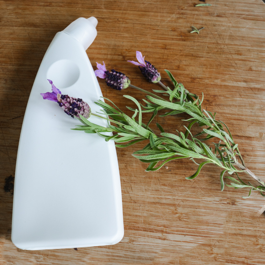 DIY Toilet Cleaner