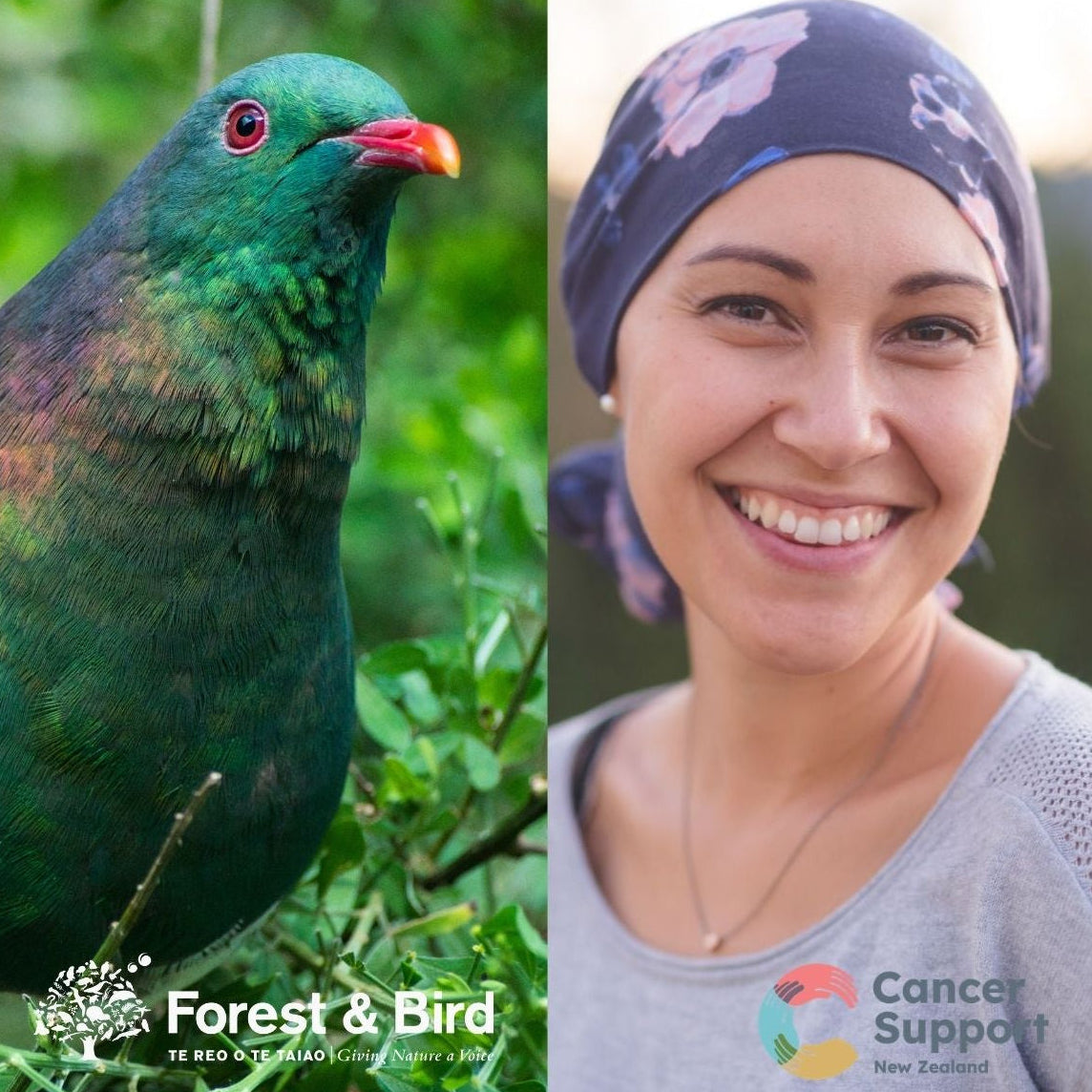Collage of a colorful bird and a person wearing a headscarf with 'Forest & Bird' and 'Cancer Support' logos.