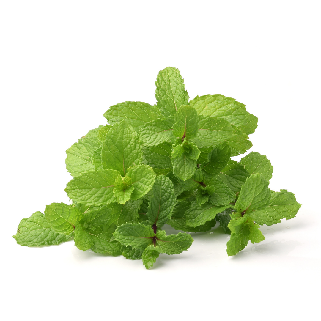 Mint Hydrosol PureNature NZ