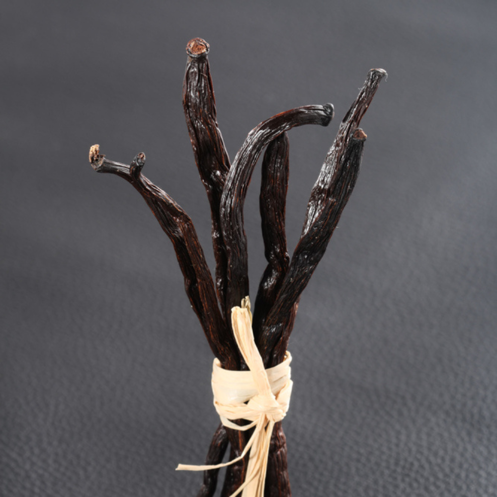 White Oak and Vanilla Fragrance