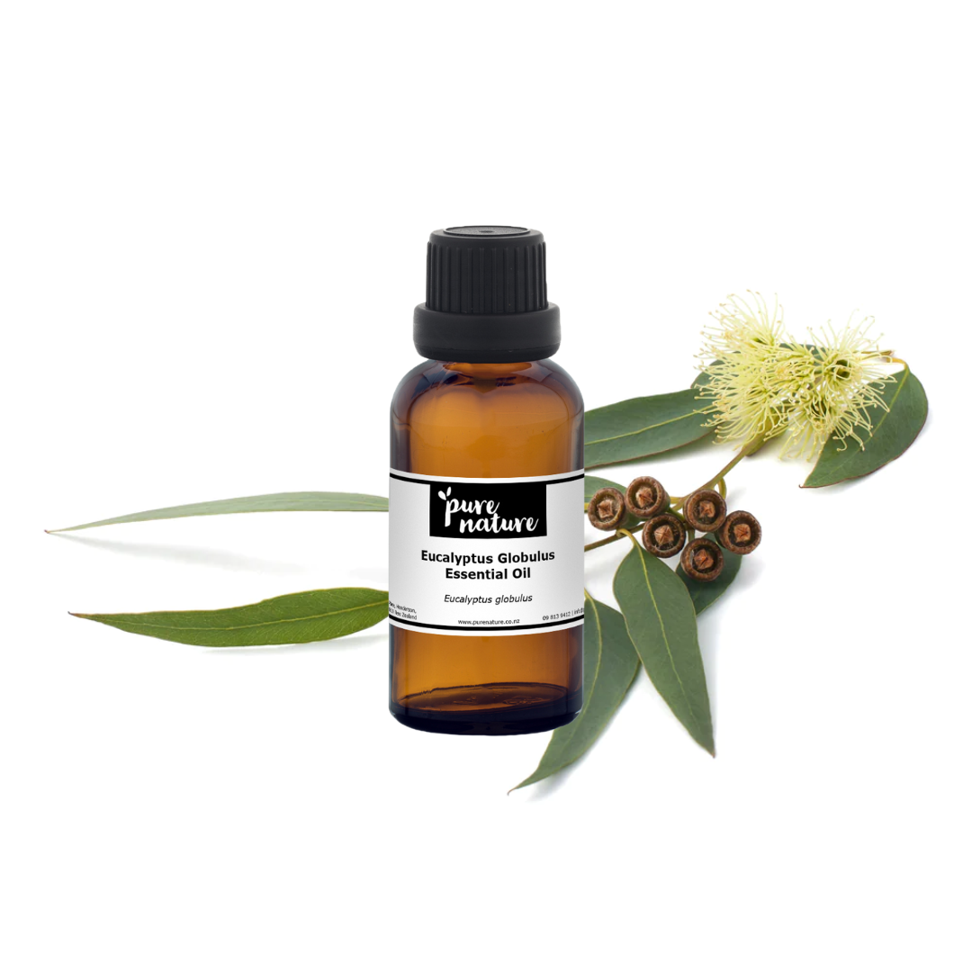 Bottle of purenaturenz Eucalyptus Globulus Essential Oil with eucalyptus leaves, highlighting natural, aromatic plant extract.