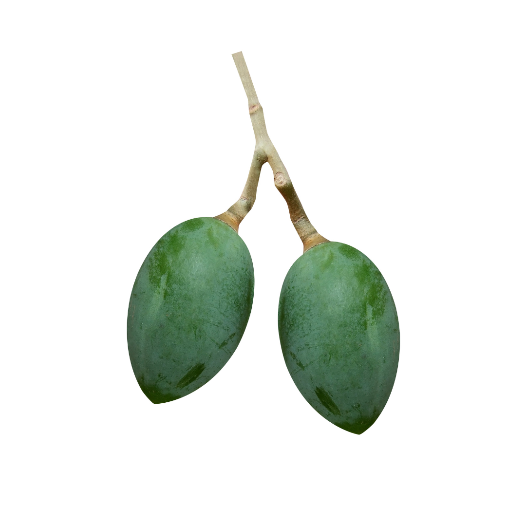 Nangai Oil