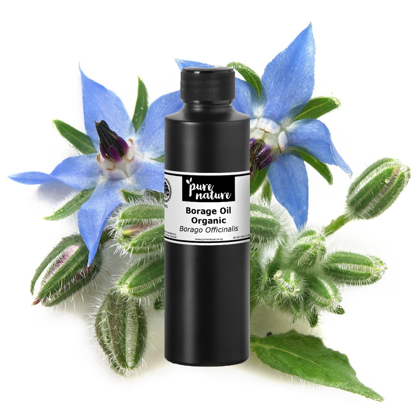 Borage Oil - Organic