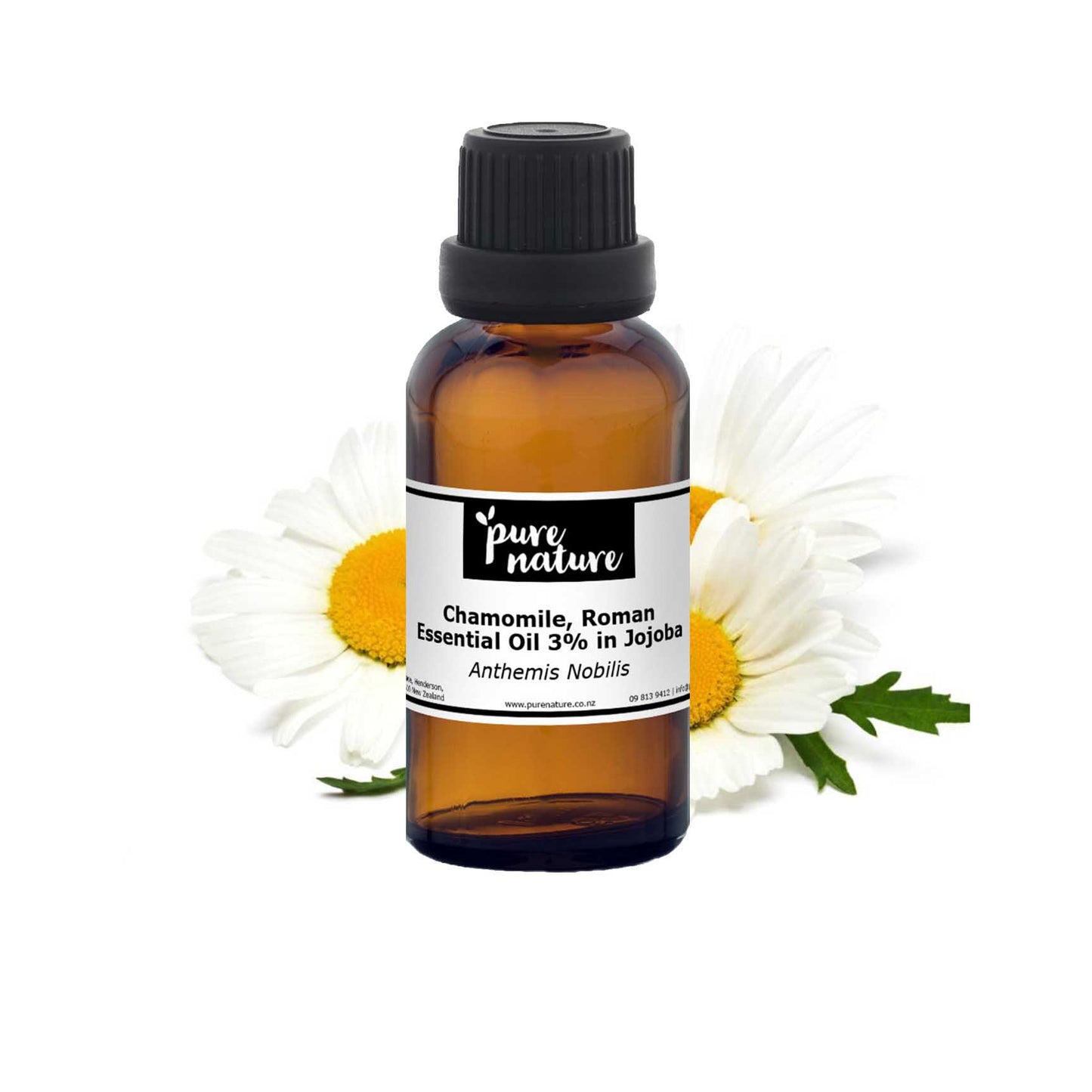 Chamomile, Roman Essential Oil 3% in Jojoba