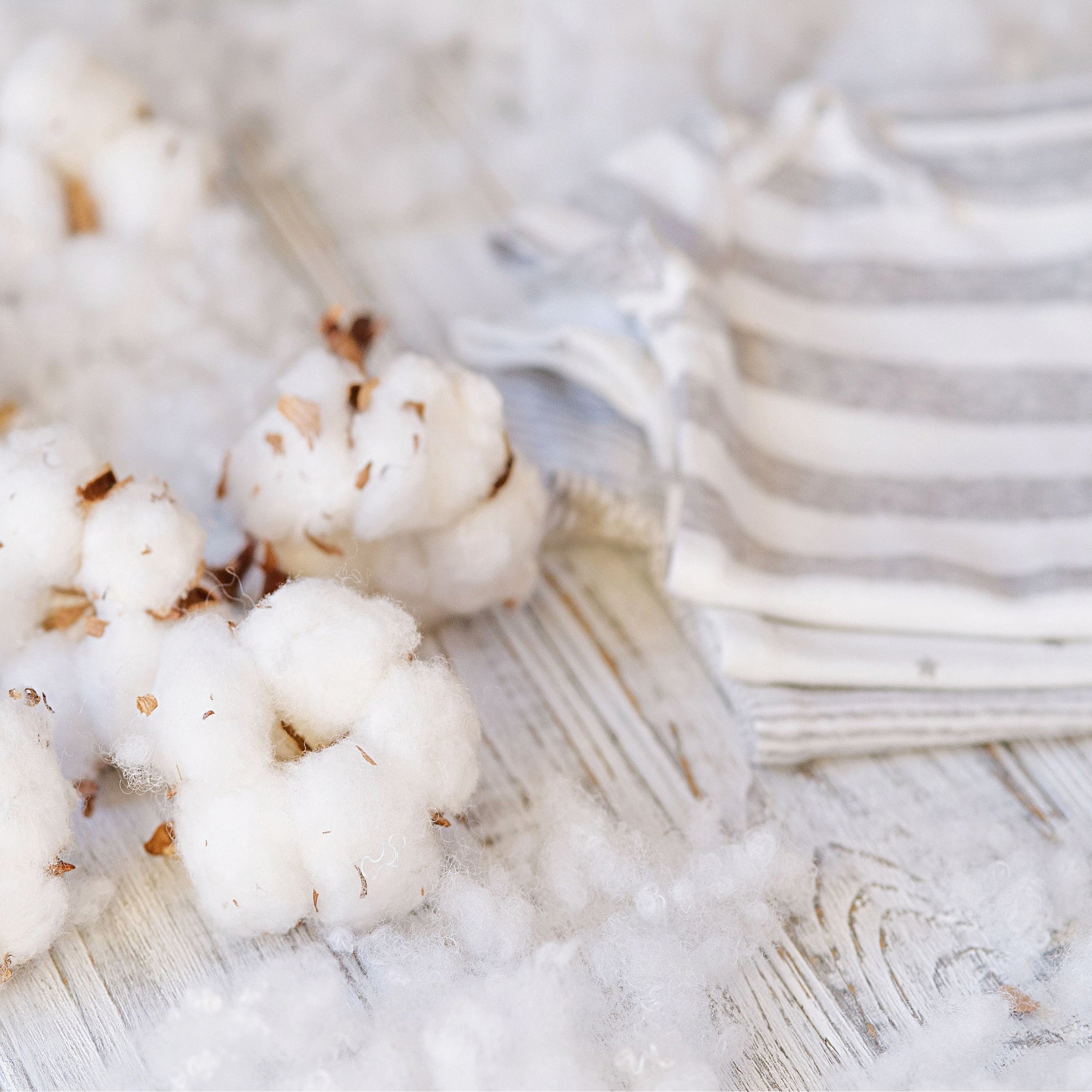 Egyptian Cotton Natural Fragrance PureNature NZ