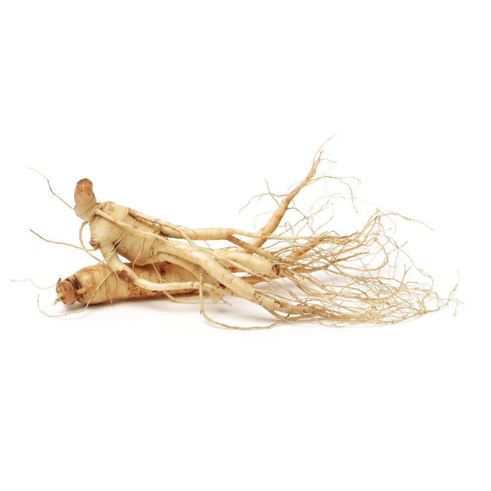 PlantæDerMX® NZ Grown Ginseng Extract