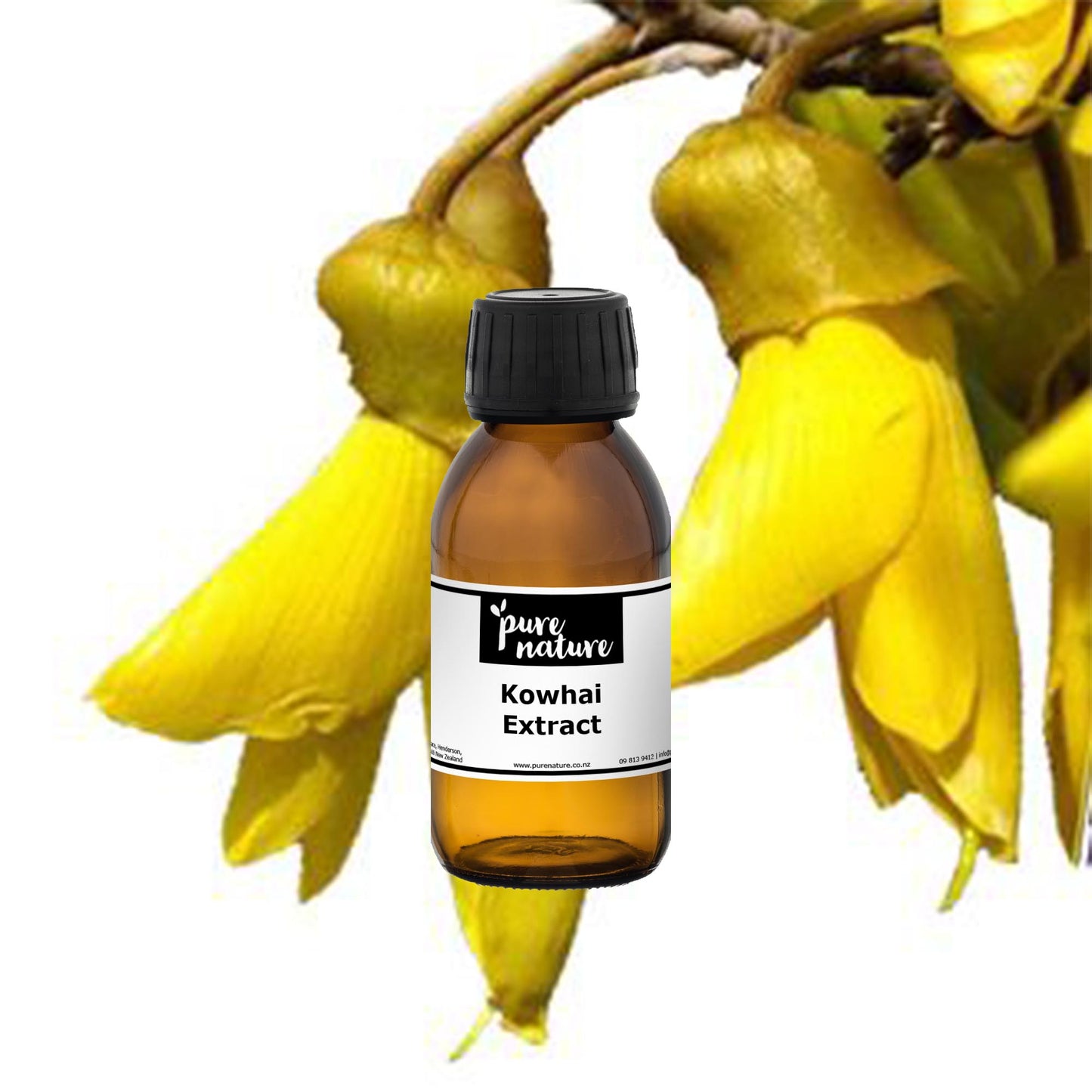 PlantæDerMX® Kowhai Bark Extract