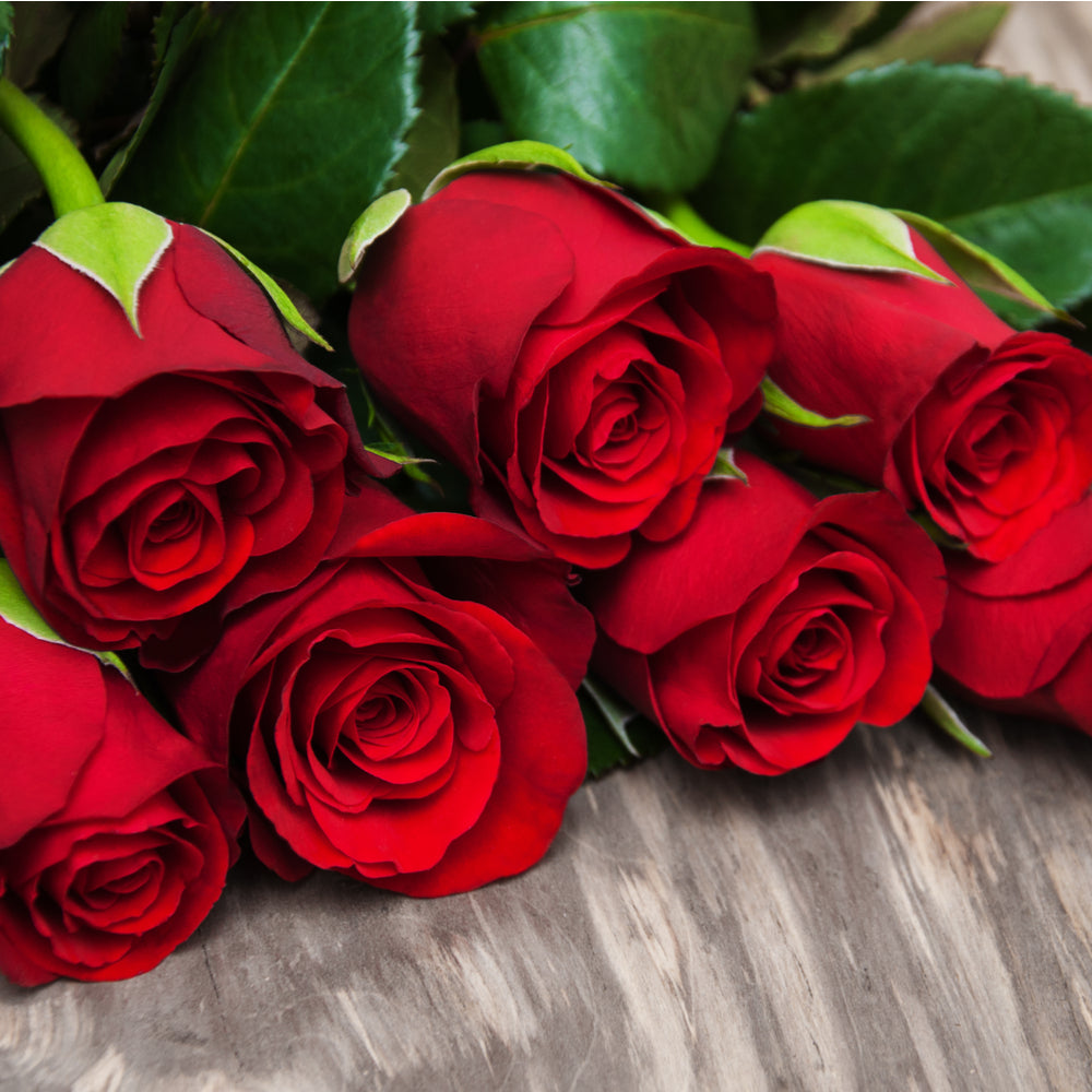 Rose Petals Fragrance