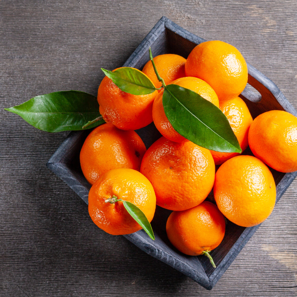 Watermint & Clementine Fragrance