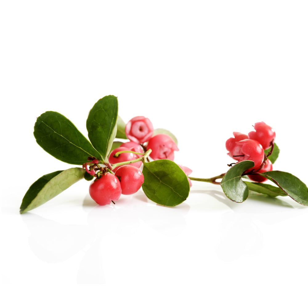 Wintergreen Essential Oil