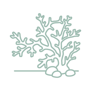 OceanDerMX® LIFT & FIRM