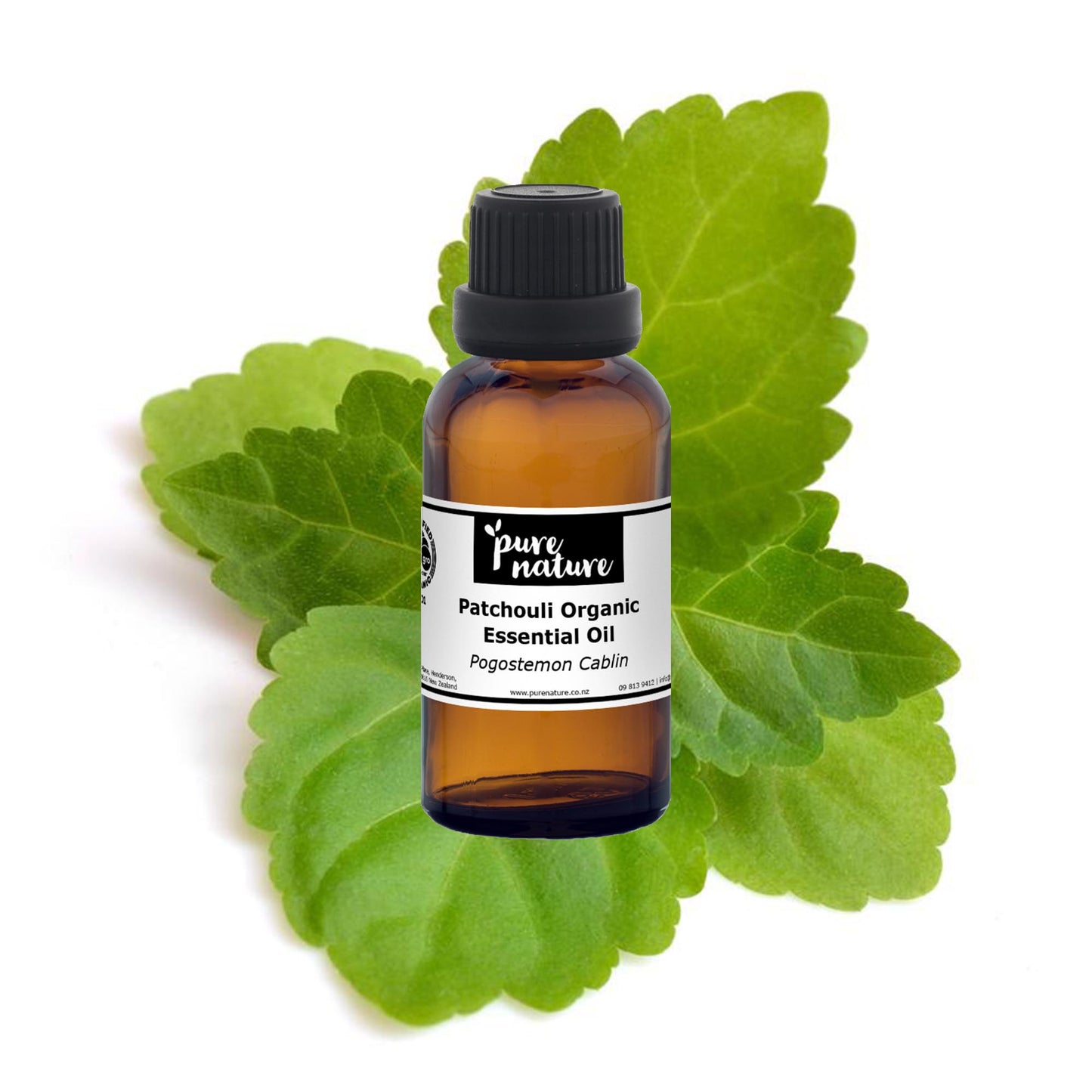 Organic patchouli essential oil in a glass bottle, from purenaturenz, with fresh patchouli leaves in the background.