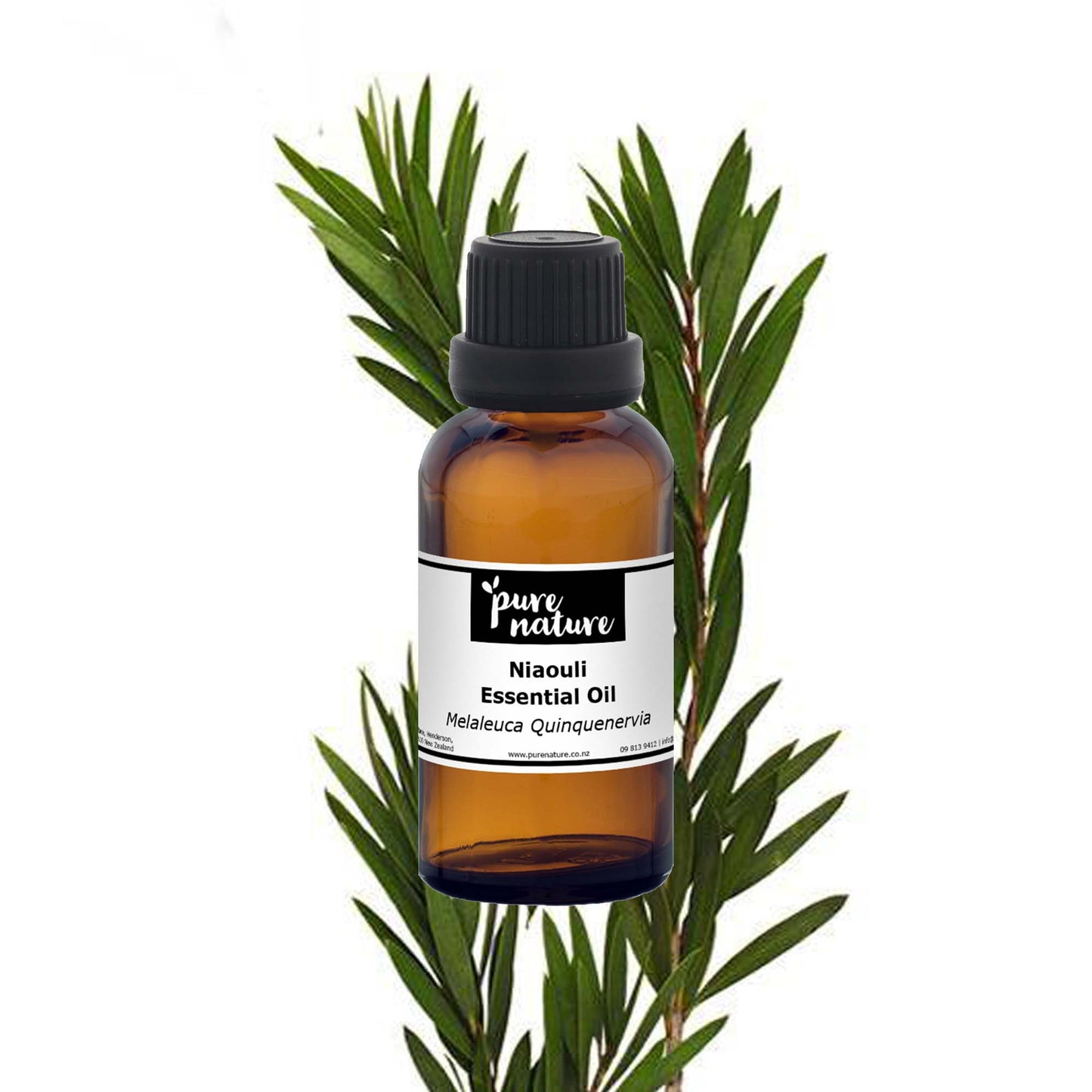 Botanical bottle of purenaturenz Niaouli essential oil with fresh leaves and aromatic aroma, showcasing natural essential oils.