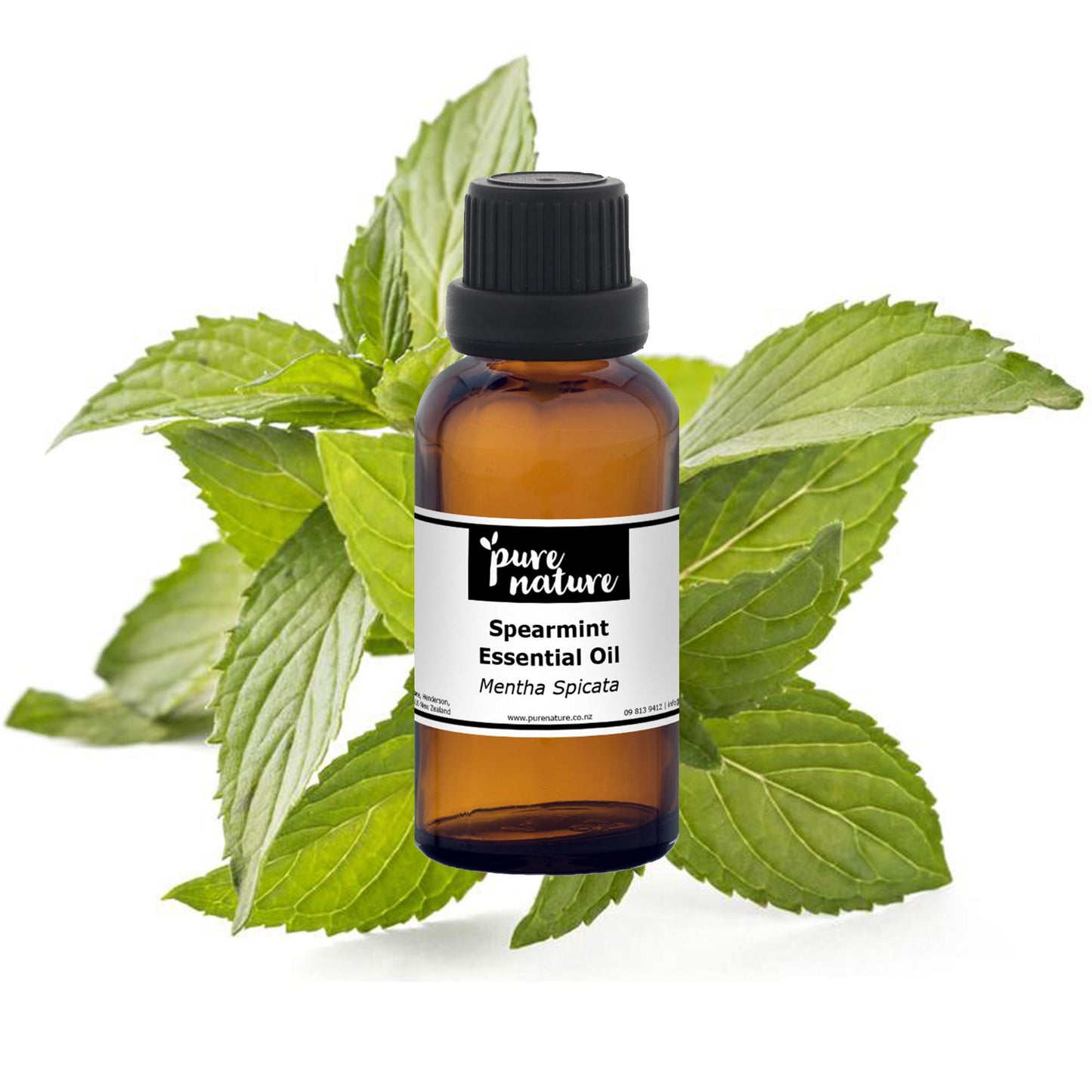 Bottles of purenaturenz spearmint essential oil with fresh spearmint leaves on a white background