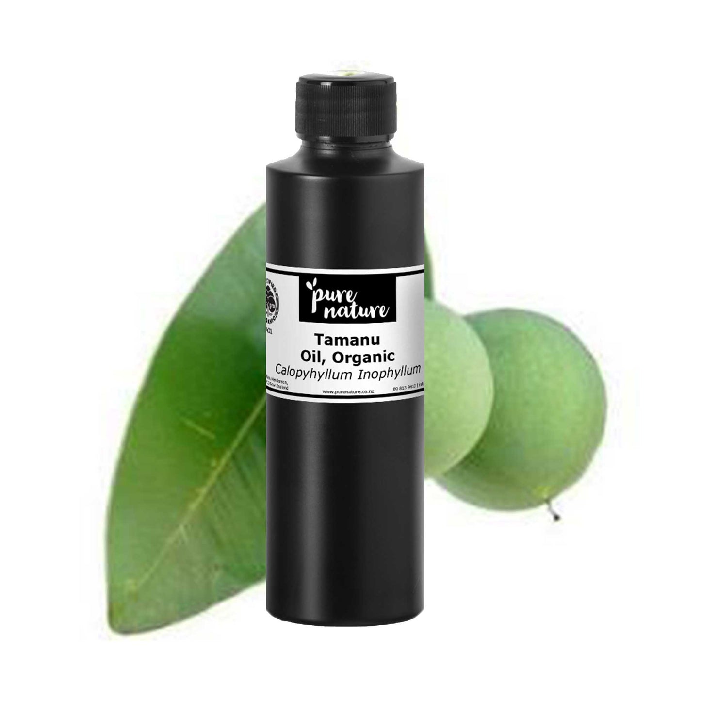 Tamanu Oil, Organic