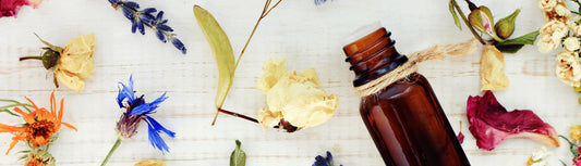 Essential Oils 101: A Beginner’s Guide