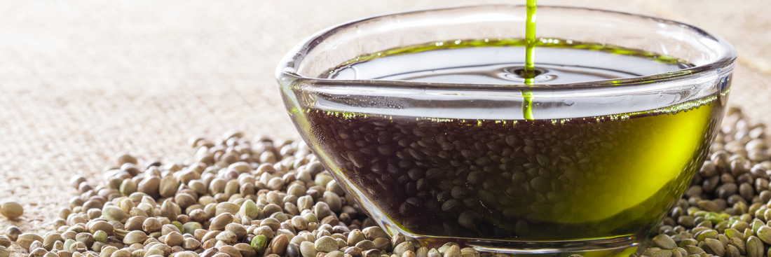 What is Hemp Seed Oil Used For?