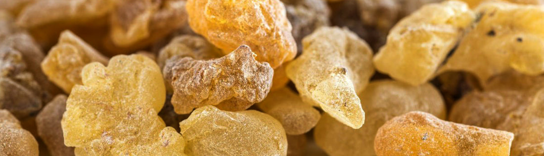 The Fuss About Frankincense