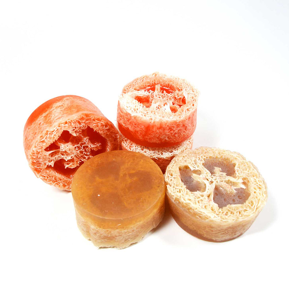 Loofah Pieces PureNature NZ