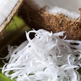 Coconut