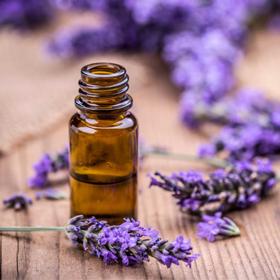 Organic Essential Oils