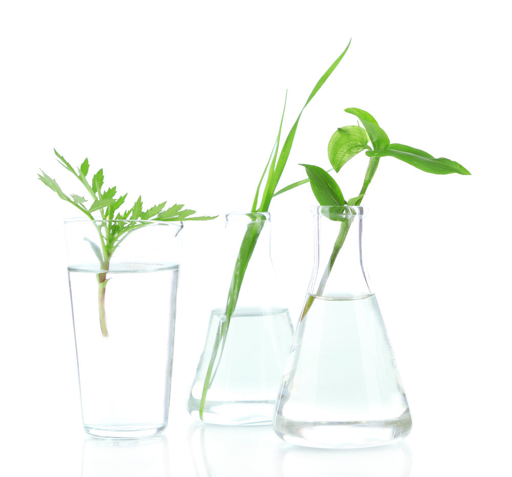 Solvents