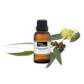 Eucalyptus Globulus Essential Oil