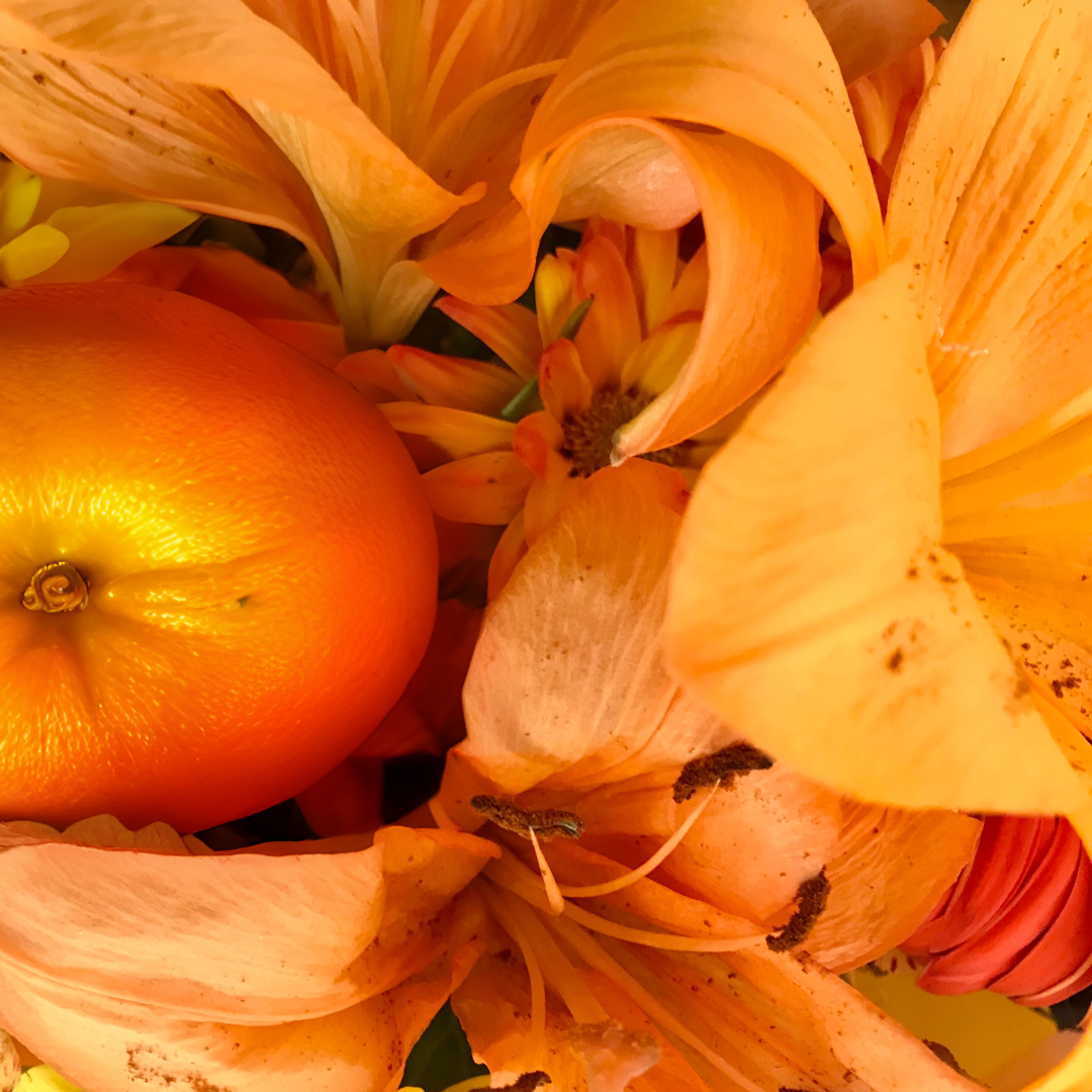 Solar Petals and Tangerine Fragrance