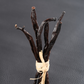 White Oak and Vanilla Fragrance