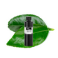 Lime Leaf Hydrosol