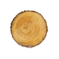 Bottle of purenaturenz pine essential oil with fresh pine needles and wood in the background, showcasing natural aromatic essential oils.