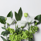 Natural Jade Blossom Fragrance