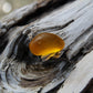 Amber and Driftwood Fragrance