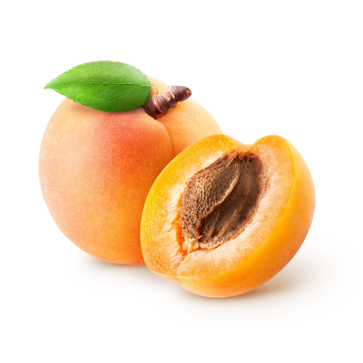 Apricot Kernel Oil