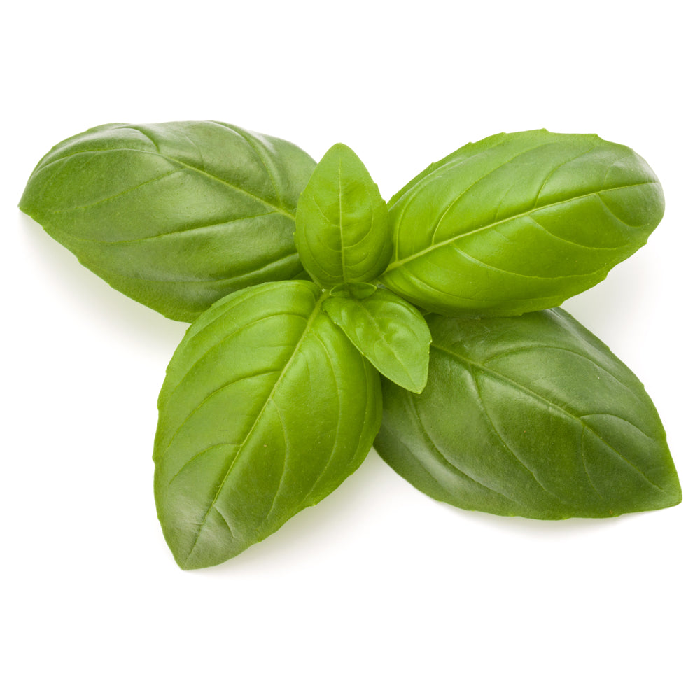 Certified Organic Essential Oils