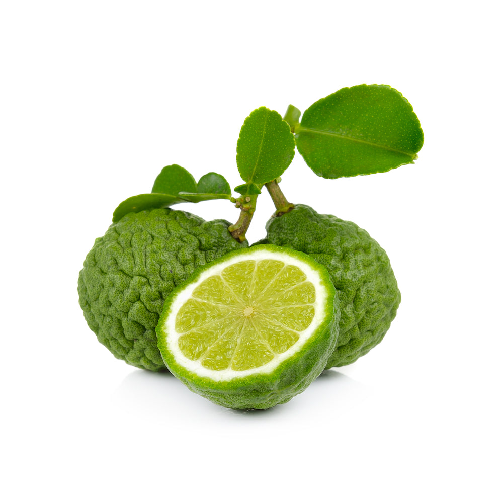 Bergamot, Calabrian - Organic Essential Oil