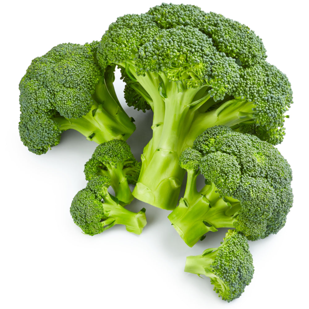 Broccoli Seed Oil, Organic