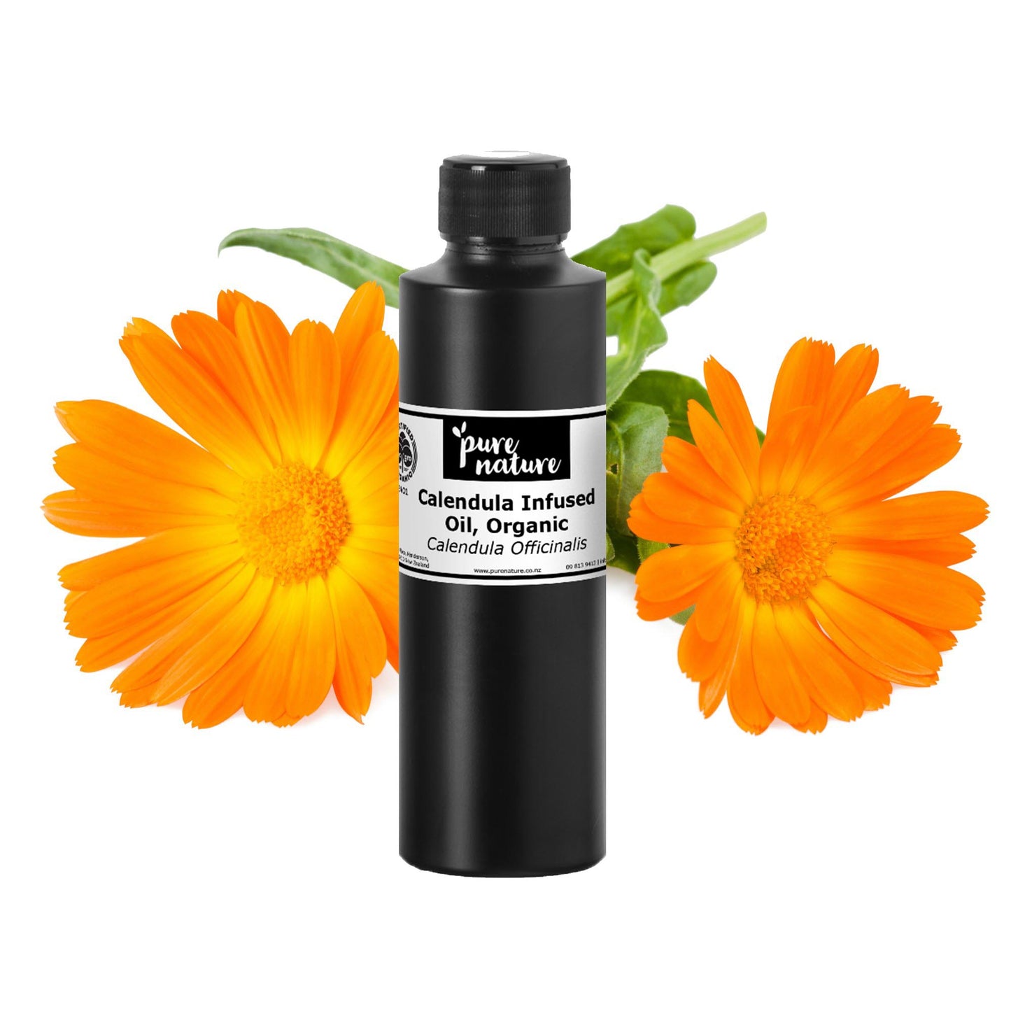 Calendula Infused Oil, Organic