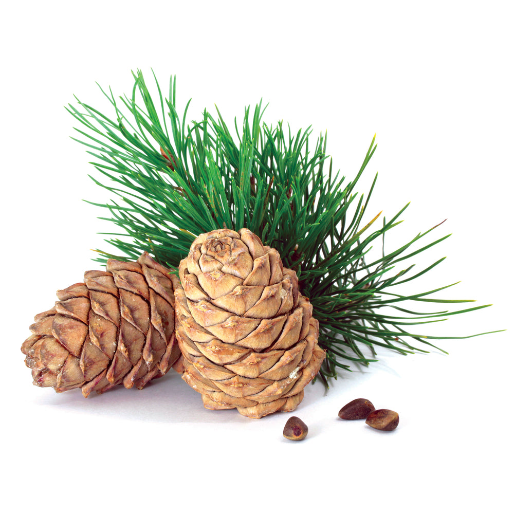 Forest Essential Oils
