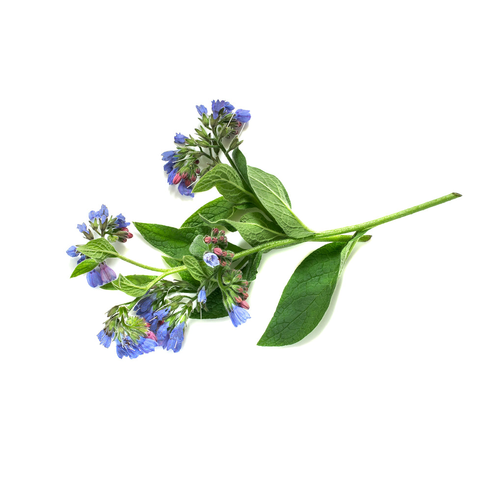 Sprain Balm