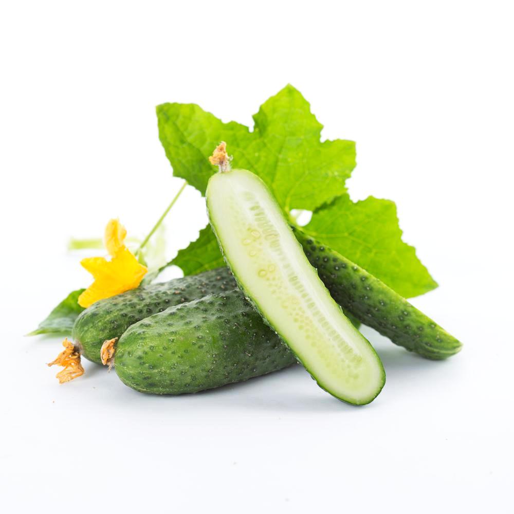 Cucumber Hydrosol