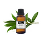 Bay Laurel Essential Oil