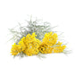 Everlasting Essential Oil
