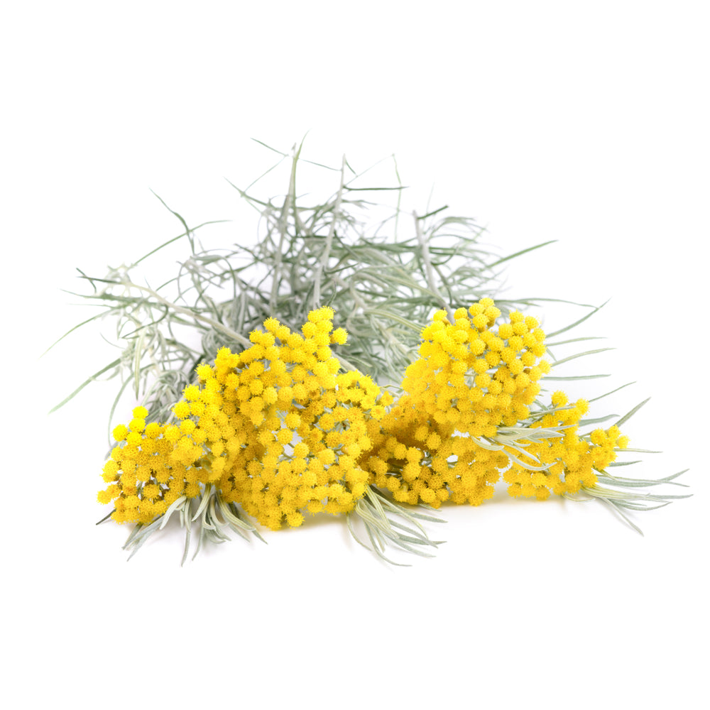 Everlasting Essential Oil