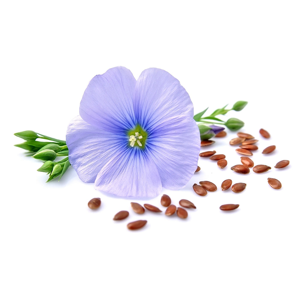 Flaxseed Oil, Organic - New Zealand