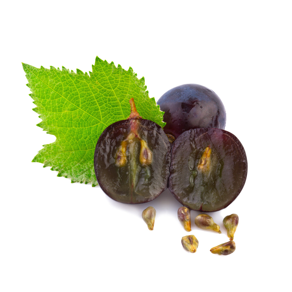 Grape Seed Cellular Extract