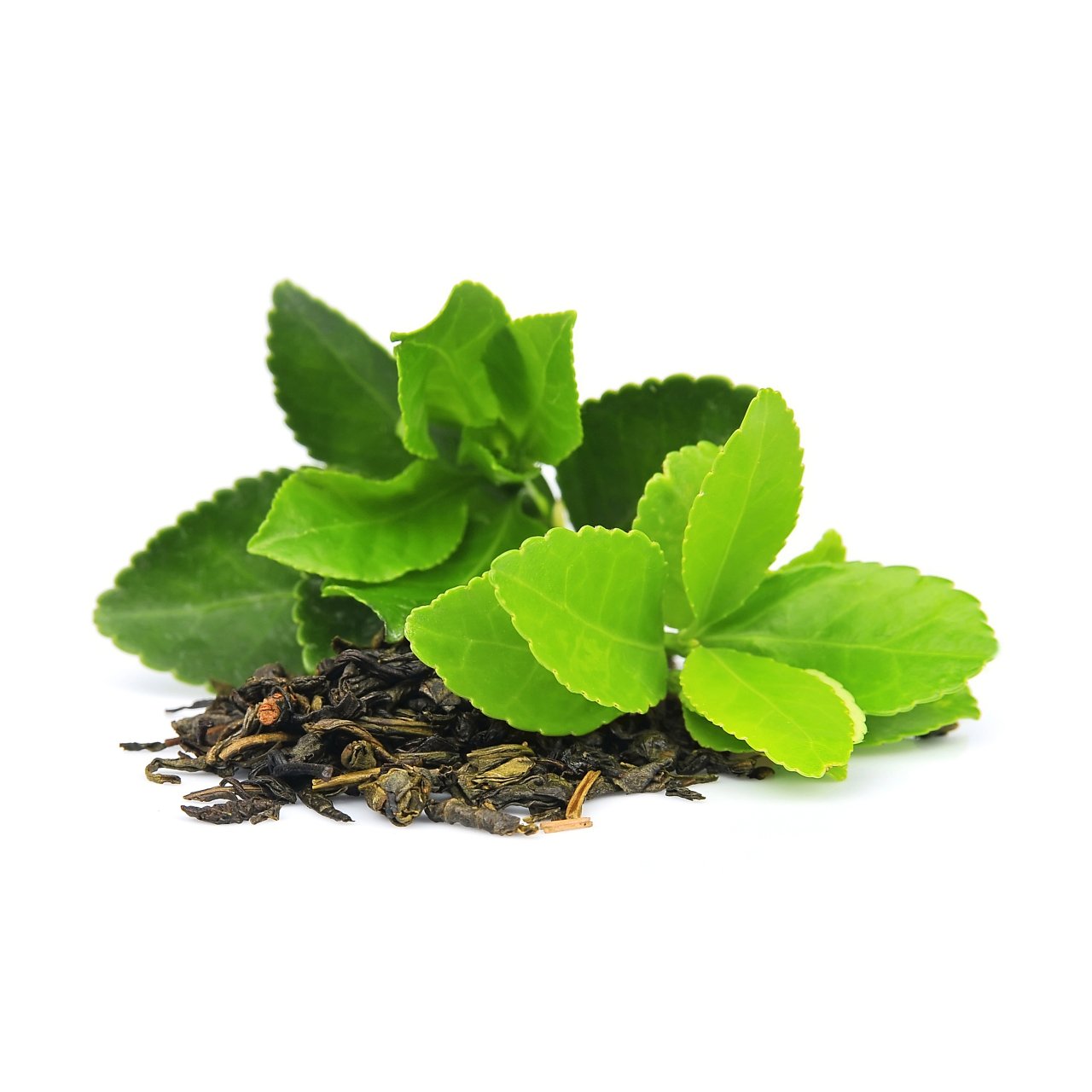 ZeaDerMX® CO - Green Tea Infused Oil