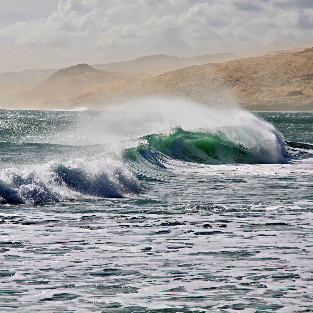 High Tide Fragrance