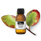PlantæDerMX® Horopito Leaf Extract