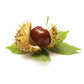 Horsechestnut Cellular Extract